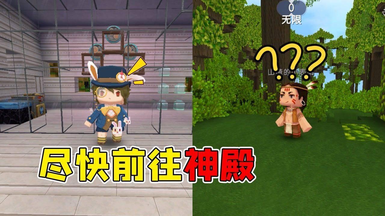 动物帮帮忙保卫家园